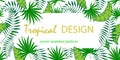 Exotic illustration vector banner with tropical plants in a trend.