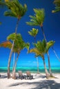Exotic island beach with palm trees on the Caribbean Sea shore, summer tropical holiday Royalty Free Stock Photo