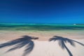 Exotic island beach with palm trees shadow on the Caribbean Sea shore, summer tropical vacation Royalty Free Stock Photo
