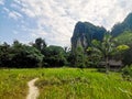 Exotic island with wild jungle, path, palms and limestone rocks in the background Royalty Free Stock Photo