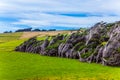 Exotic journey to the South Island