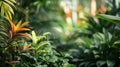 Exotic Jungle Paradise Vibrant Foliage and Lush Greenery Amidst the Wild Royalty Free Stock Photo