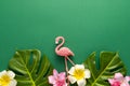 Exotic jungle summer frame. Summer beach party concept. Pink flamingo, tropical leaf monstera and orchid flowers on green