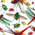 Exotic ladybug wild insect pattern in a watercolor style.