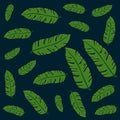 exotic leafs plants pattern