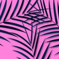 Exotic leaves background. Botanical leaves on millenial pink background. Exotic background