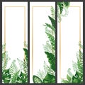 Exotic leaves banner. Tropical monstera leaf, palm branch and vintage hawaii nature plants vertical banners vector