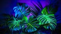 exotic leaves and flowers in neon glowing light background, colourful wallpaper