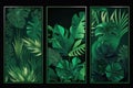 Exotic leaves frame. Tropical leaf border, nature summer frames and luxury palm leaves borders. Green rainforest leaf banner or Royalty Free Stock Photo