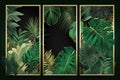 Exotic leaves frame. Tropical leaf border, nature summer frames and luxury palm leaves borders. Green rainforest leaf banner or