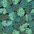 Exotic leaves, rainforest. Seamless hand drawn tropical pattern. Vector background with monstera. Royalty Free Stock Photo