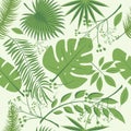 Exotic leaves, rainforest. Seamless realistic tropic leaf pattern. Palm leaf, banana leaf, hibiscus, plumeria flowers. Jungle tree