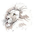 Exotic lion wild animal in a watercolor style isolated. Watercolor background illustration set.