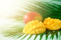 Exotic mango fruit over tropical green palm leaves on turquoise background. Copy space. Pop art design, creative summer Royalty Free Stock Photo