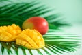 Exotic mango fruit over tropical green palm leaves on turquoise background. Copy space. Pop art design, creative summer Royalty Free Stock Photo