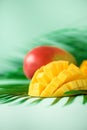 Exotic mango fruit over tropical green palm leaves on turquoise background. Copy space. Pop art design, creative summer Royalty Free Stock Photo