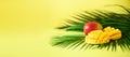 Exotic mango fruit over tropical green palm leaves on yellow background. Copy space. Pop art design, creative summer Royalty Free Stock Photo