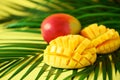 Exotic mango fruit over tropical green palm leaves on yellow background. Copy space. Pop art design, creative summer Royalty Free Stock Photo