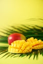 Exotic mango fruit over tropical green palm leaves on yellow background. Copy space. Pop art design, creative summer Royalty Free Stock Photo