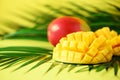 Exotic mango fruit over tropical green palm leaves on yellow background. Copy space. Pop art design, creative summer Royalty Free Stock Photo