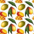 Exotic mango seamless pattern. Design with hand drawn illustration of mango with leaves and mango slices