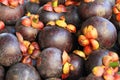 exotic mangostan fruit texture