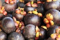 exotic mangostan fruit texture