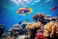 Exotic marine life and vibrant coral reefs