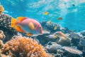 Exotic marine life and vibrant coral reefs