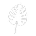 Exotic monstera. Continuous one-line drawing. Handmade summer tropical leaf on white background. Minimalist design
