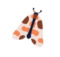 Exotic moth, tropical butterfly. Winged insect with antennae and spotted pattern. Fiction fancy summer fauna species