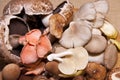 Exotic mushrooms