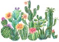 Exotic natural vintage watercolor blooming cactus greeting card