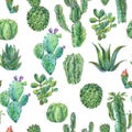 Exotic natural vintage watercolor cactus seamless pattern.