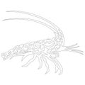 Exotic, ornamental fish shrimp lobster, line drawing. Sketch of adult anti-stress coloring book, t-shirt emblem, logo or tattoo