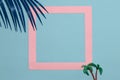 exotic palm leaf background in the corner, in the second palm tree, in the middle pink frame as copy space