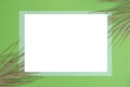 Exotic palm leaves on green paper background , blue frame and white empty rectangle , abstract backdrop for product placement