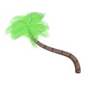 Exotic palm tree icon, isometric style Royalty Free Stock Photo