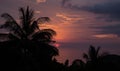 Exotic palmtrees silhouette on sunrise in tropic ocean.
