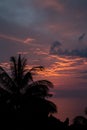 Exotic palmtrees silhouette on sunrise in tropic ocean.