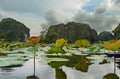 Exotic Panorama view on green tropic wild lake