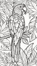 Exotic parrot bird, fairy tale monstera tropical foliage, branch. Contour thin line. Black and white T-shirt print. Anti