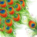 Exotic peacock feather background. peacock feather illustration watercolor textured background. unusual illustration watercolor