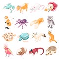 Exotic Pets Isometric Icons