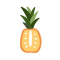 Exotic pineapple fruit, cross section with top leaf. Tropical food, ananas half, cut piece. Sweet natural vitamin eating