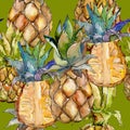 Exotic pineapple wild fruit in a watercolor style pattern. Royalty Free Stock Photo