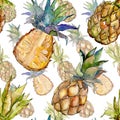 Exotic pineapple wild fruit in a watercolor style pattern. Royalty Free Stock Photo