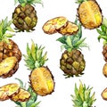 Exotic pineapple wild fruit in a watercolor style pattern. Royalty Free Stock Photo