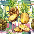 Exotic pineapple wild fruit in a watercolor style pattern. Royalty Free Stock Photo