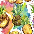 Exotic pineapple wild fruit in a watercolor style pattern. Royalty Free Stock Photo